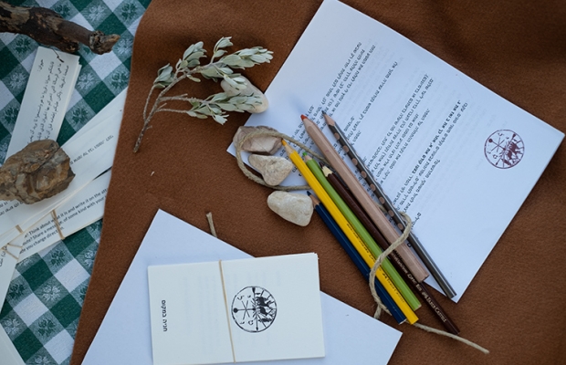 צילום - שירה אבולעפיה